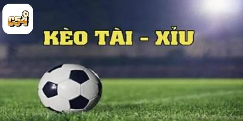 Cách Đọc Tài Xỉu 3.5: Phân Tích Và Chiến Lược Đặt Cược 1 Cách Đọc Tài Xỉu 3.5: Phân Tích Và Chiến Lược Đặt Cược