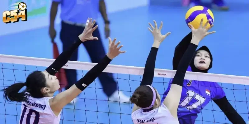 Cá cược bóng chuyền quốc tế C54 – Bí quyết săn thưởng hay 4 Chiến thuật phân tích dữ liệu chuyên sâu tại C54